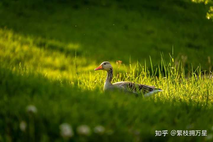 有哪些高质量的自学网站？