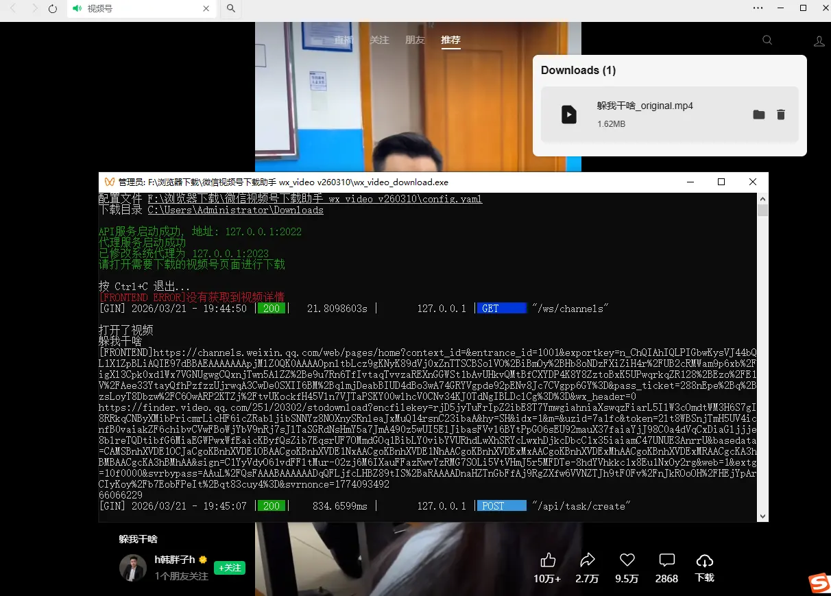 [Windows] 微信视频号下载工具 v260310 支持直播回放直播流 绿色便携版